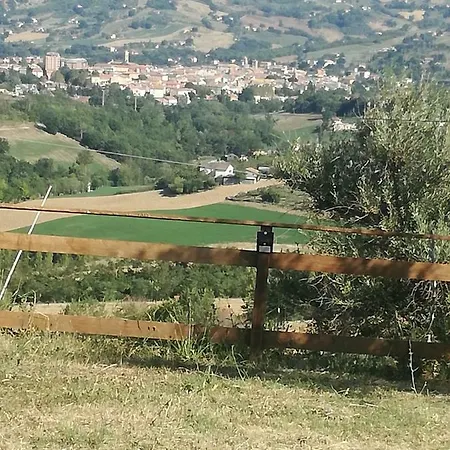 Holiday Contrada Collina