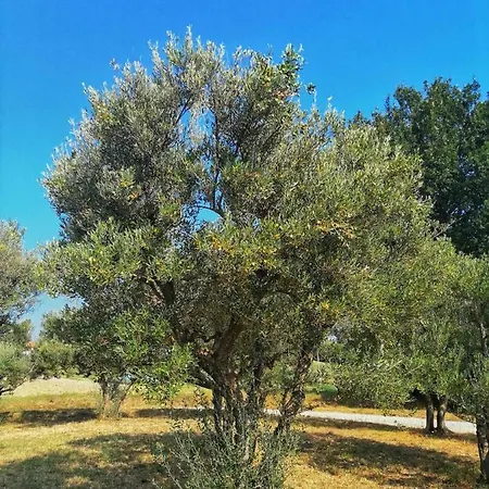 Tatil Evi Holiday Contrada Collina Tolentino